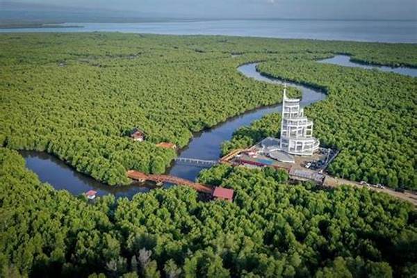 pengembangan-tower-mangrove-wisata-atau-perubahan-iklim-disepelekan_6fa1dc880.jpg