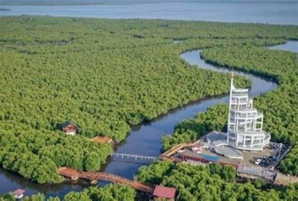 tower-mangrove-forest-park-jalan-alternatif-wisata-dan-infrastruktur-hijau_6add2a1ed.jpg