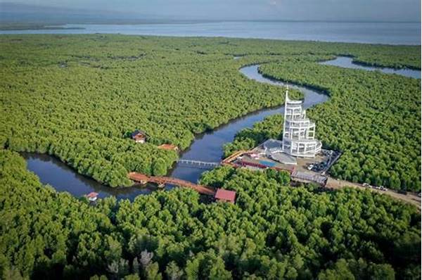 tower-mangrove-langsa-jadi-oase-hijau-merawat-ekosistem-kota_0c35b9bdb.jpg