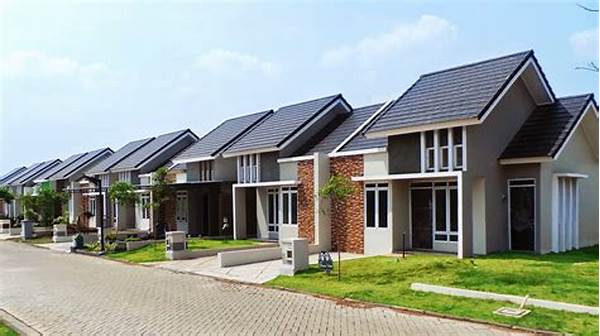 perumahan-subsidi-di-langsa-barat-resmi-diluncurkan-untuk-warga-mbr_17a1df572.jpg