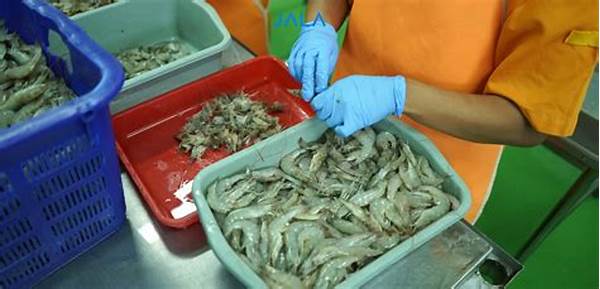 ekspor-udang-vaname-dari-langsa-tembus-pasar-asia_2c8ec4f73.jpg