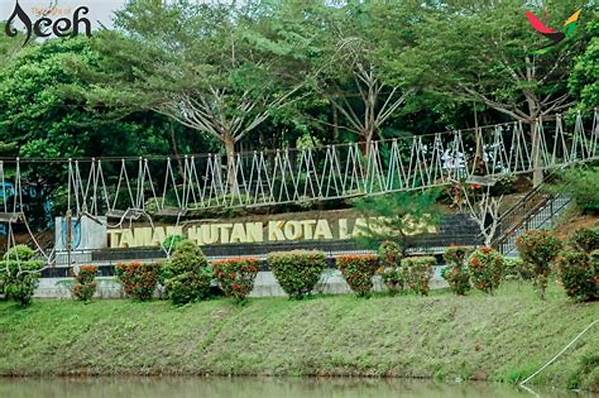 langsa-sebagai-kota-hijau-mungkinkah-jadi-role-model-di-aceh_ef7301d90.jpg