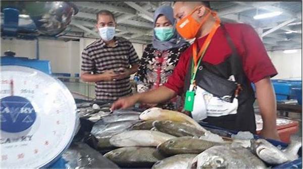 pasar-ikan-modern-di-langsa-resmi-dibuka-fasilitasnya-jadi-sorotan_370d923df.jpg