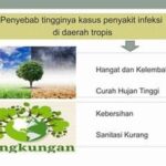 daerah-terdampak-peningkatan-penyakit-tropis-mengancam-warga-langsa-di-tengah-puncak-musim-hujan_e4003c15e.jpg