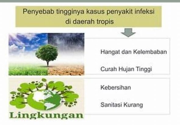 daerah-terdampak-peningkatan-penyakit-tropis-mengancam-warga-langsa-di-tengah-puncak-musim-hujan_e4003c15e.jpg