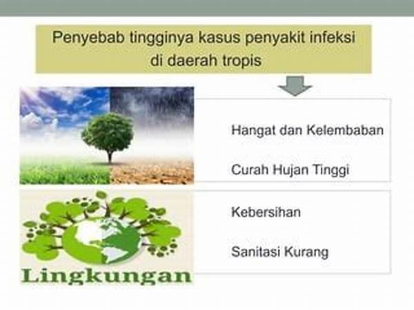 daerah-terdampak-peningkatan-penyakit-tropis-mengancam-warga-langsa-di-tengah-puncak-musim-hujan_e4003c15e.jpg