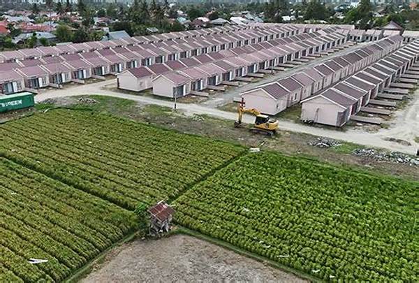 bisnis-properti-langsa-akan-kembangkan-100-hektare-lahan-untuk-perumahan-bersubsidi-peluang-investasi_7a2bd95b7.jpg